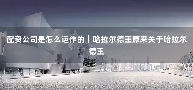 配资公司是怎么运作的┃哈拉尔德王原来关于哈拉尔德王