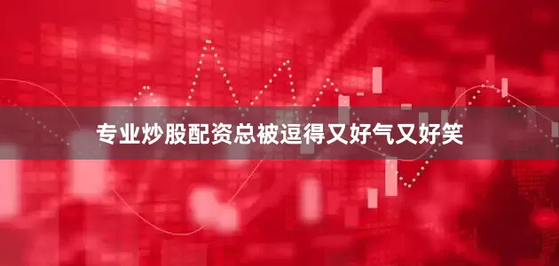 专业炒股配资总被逗得又好气又好笑