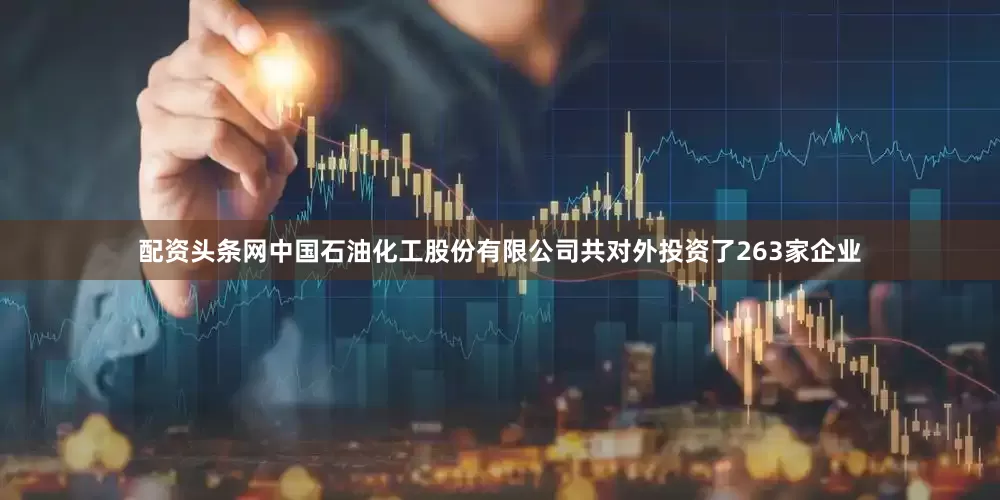 配资头条网中国石油化工股份有限公司共对外投资了263家企业