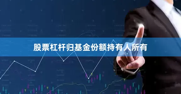 股票杠杆归基金份额持有人所有